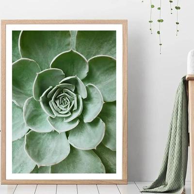 Uplift Picks Botanical Wall Art Plant Canvas Print Green Wall Decor Nature Leaf Poster 05 30x40 Cm