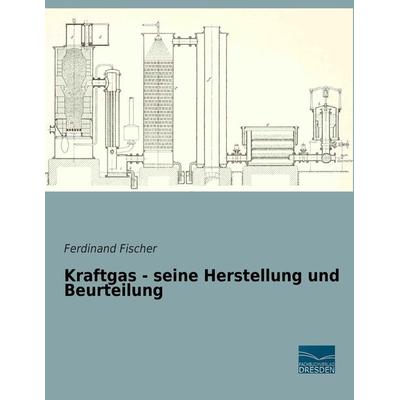 Kraftgas - seine Herstellung und Beurteilung, Taschenbuch von Karin Fischer, Fachbuchverlag Dresden, 978-3-95692-479-8