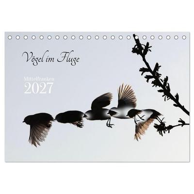 Vögel im Fluge (Tischkalender 2027 DIN A5 quer), CALVENDO Monatskalender
