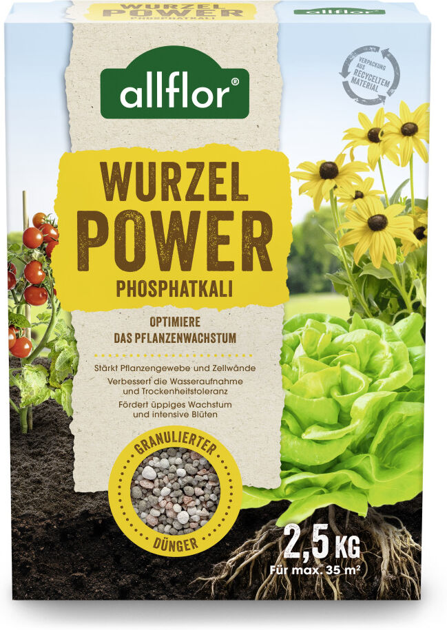 Allflor Wurzelpower Phosphat-Kali 2,5 kg