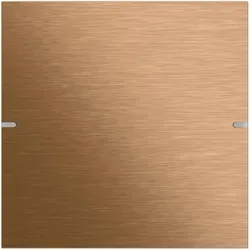 Gira 502138 1f Tastsens.4 TS4 Bronze Wippenset, Schalter + Taster, Bronze