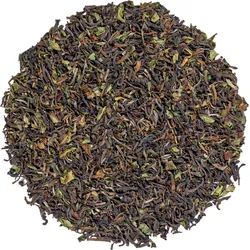 Darjeeling No.37 Schwarzer Tee 100 g Nachfüllpack