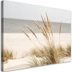 LEINWANDBILD Strand Meer Pflanzen Natur Beige 120x80cm