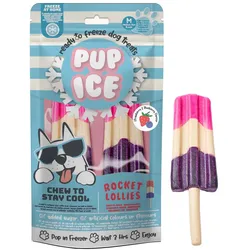 Pup Ice Dog Snack Rocket Lollies Strawberry & Blueberry "M" | 2 Stück