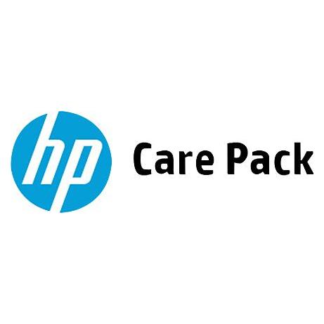 HP 3y NBD (U9DY0A)