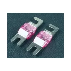 Dietz 23082 Mini-ANL Sicherung 100 A, 2 Stück