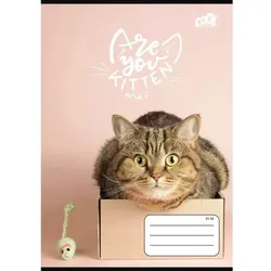 Cool by Victoria: Cats Forever liniertes A5-Heft – verschiedene Designs