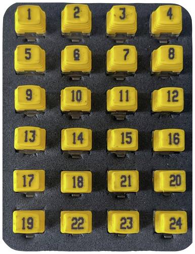 Softing Remote Identifier 226581 PD_RK224 Netzwerk