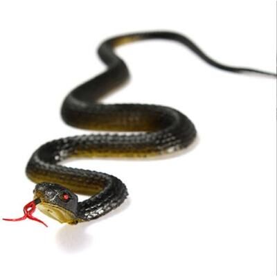 Uplift Essentials Realistic Rubber Toy Snake & Prank Prop Realistic Rubber Toy Snake & Prank Prop