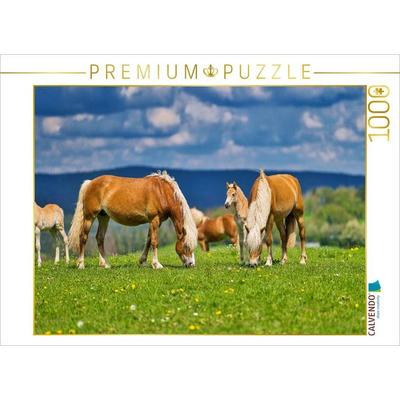 CALVENDO Puzzle Haflinger Gruppe beim genießen der frischen Luft | 1000 Teile Lege-Größe 64x48cm Foto-Puzzle für glückliche Stunden