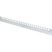 Kabelabfangschiene 19" für Unique & Dynamic, Kabelführung silber, für 600mm tiefe Netzwerkschränke der Unique- und Dynamic Serie
