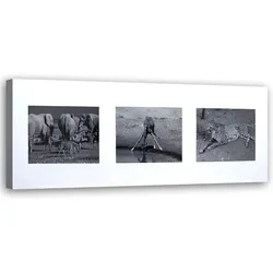 WANDBILD collage tiere aus afrika