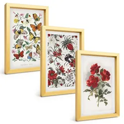 BILDER SET 3er Set - 20x30 cm Goldrahmen - Schmetterlinge, Blumen, rote Rosen