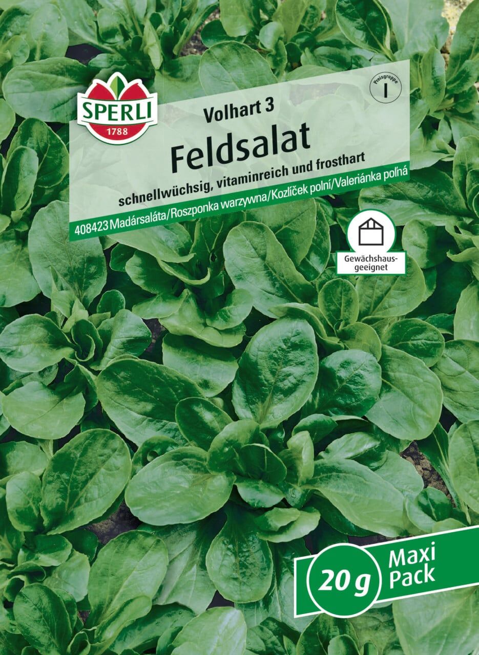 Sperli Saatgut Feldsalat Volhart 3 MaxiPack 25 g für bis zu 35-40 lfd. Meter