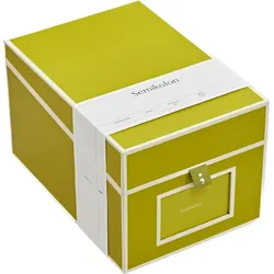Die Kante Foto- und CD-Box, matcha grün