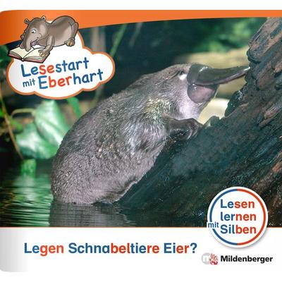 Lesestart mit Eberhart: Legen Schnabeltiere Eier?, Geheftet von Stefanie Drecktrah,Nicole Brandau, Mildenberger Verlag GmbH, 978-3-619-04154-1