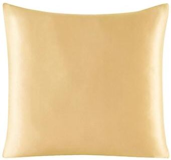 Uplifted Finds Pure Silk Pillowcase With Zipper Closure Soft Luxury Pillow Cover 40 X 40 Cm champagne
