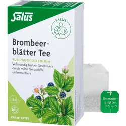Brombeerblättertee Kräutertee Bio Salus 15 ST