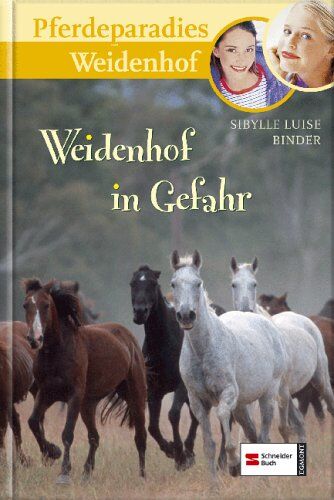Binder, Sibylle Luise - Pferdeparadies Weidenhof, Band 12: Weidenhof in Gefahr - Preis vom 30.09.2026 09:01:18 h