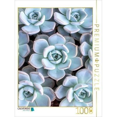 CALVENDO Puzzle Echeveria Sukkulenten von oben | 1000 Teile Lege-Größe 64x48cm Foto-Puzzle für glückliche Stunden