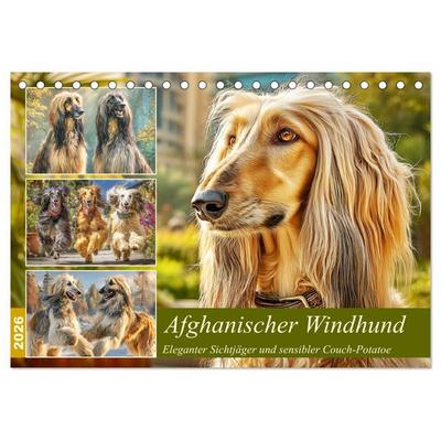 Afghanischer Windhund. Eleganter Sichtjäger und sensibler Couch-Potatoe (Tischkalender 2026 DIN A5 quer), CALVENDO Monatskalender