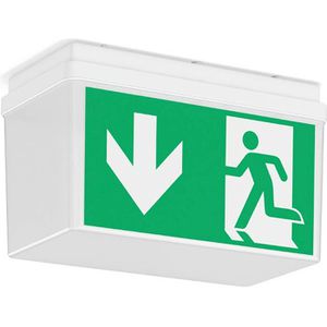 RZB Notbeleuchtung GSUN 3, Fluchtwegleuchte, LED mit Akku, Wand- & Deckenmontage, 4 Piktogramme, IP54, Not & Dauerbetrieb