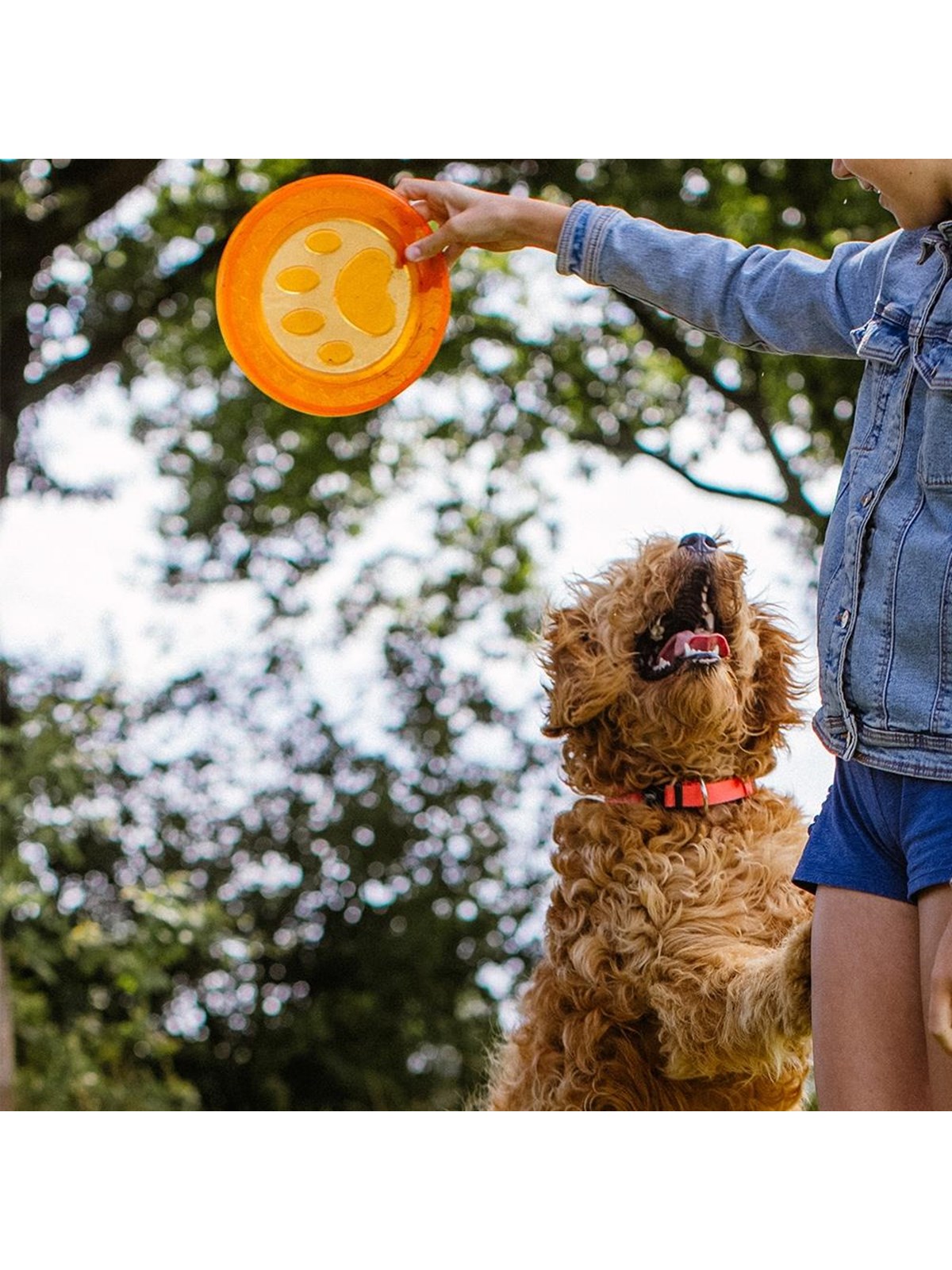 Nobby TPR Frisbee - Paw