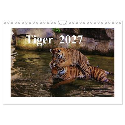 Tiger 2027 (Wandkalender 2027 DIN A4 quer), CALVENDO Monatskalender