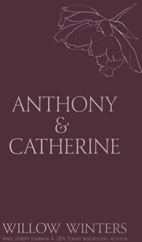 Willow Winters - Anthony & Catherine: Bad Boy (Discreet Series, Band 5) - Preis vom 02.10.2026 23:42:20 h