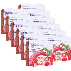 Nutrini Creamy Fruit Beerenfrüchte 48X100 g