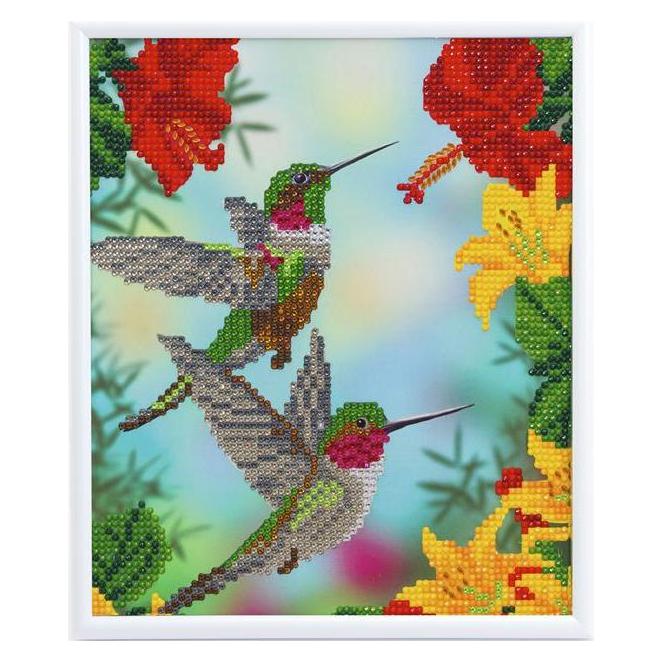 Craft Buddy Hungrige Kolibris, 21x25cm Bild mit Rahmen Crystal Art (CAM-27-WHITE)