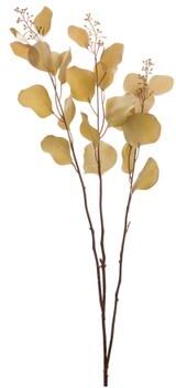 Seeded Eucalyptus Stem (Set of 6) by Melrose in Brown