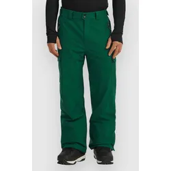 O'Neill Fwc'Cruz Cargo Hose emerald envy Gr. M