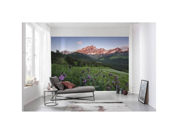 Papier peint intissé Suisse pittoresque 450 x 280cm