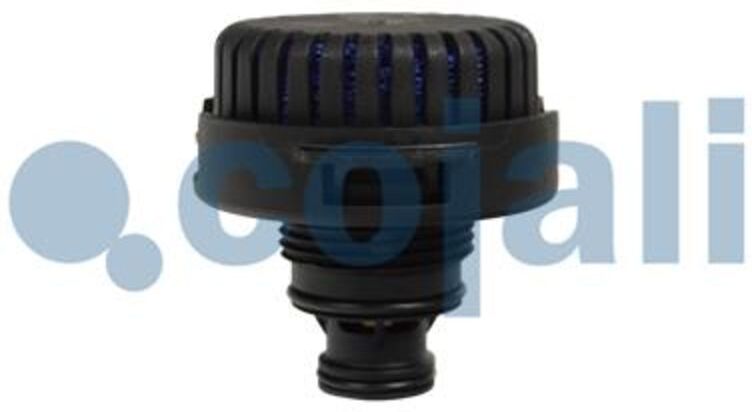 Cojali Silenziatore per l'impianto ad aria compressa 2203110COJ