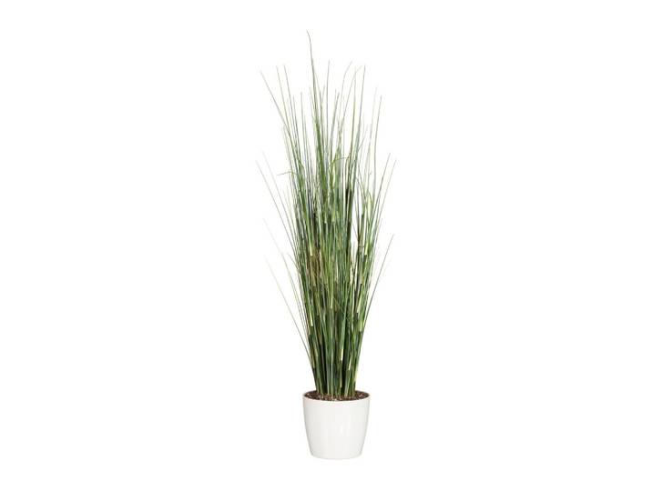 Kunstpflanze Equisetum Gras ca. 155cm