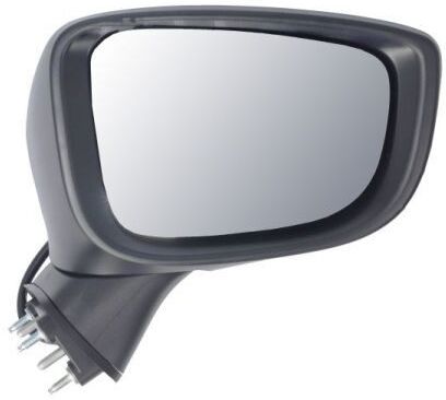 BLIC 5402-14-0741321P Wing mirror