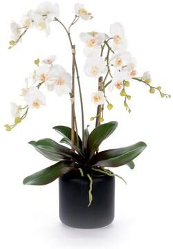 Jenny Silks White Orchid Flower Arrangement in Black Pot