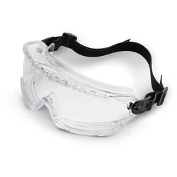 Kärcher Schutzbrille