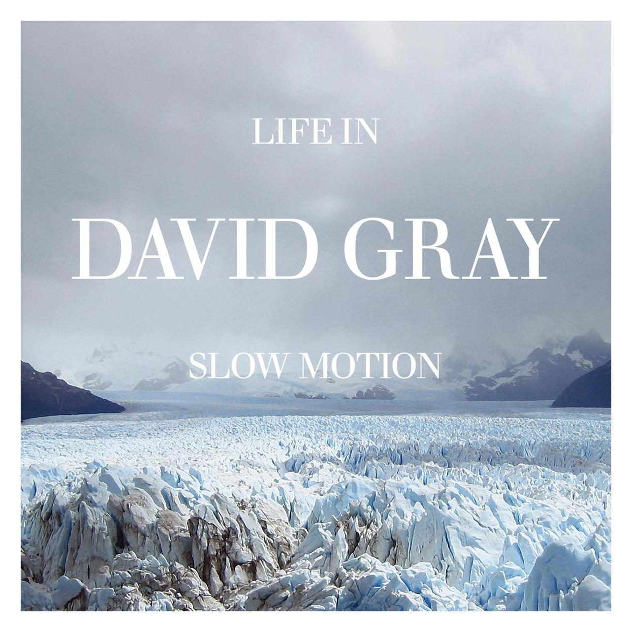 Amped Life In Slow Motion -Deluxe 20th Anniversary Edition- (David Gray) (64967717)