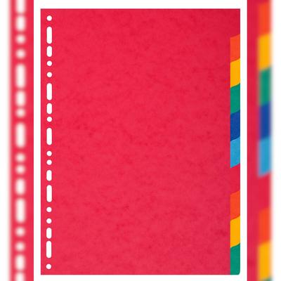 Exacompta 2110E 25x Register aus Recyclingkarton 220g, 10 Positionen, für Format DIN A4+ - Farben sortiert