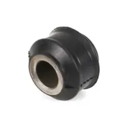 Lagerbuchse Blattfeder SKF VKDCV 01048