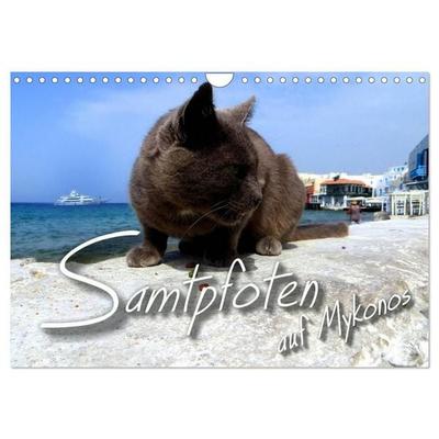 SAMTPFOTEN auf Mykonos (Wandkalender 2027 DIN A4 quer), CALVENDO Monatskalender