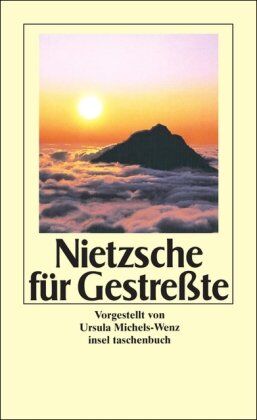 Friedrich Nietzsche - Nietzsche für Gestreßte (insel taschenbuch) - Preis vom 17.10.2026 19:25:27 h