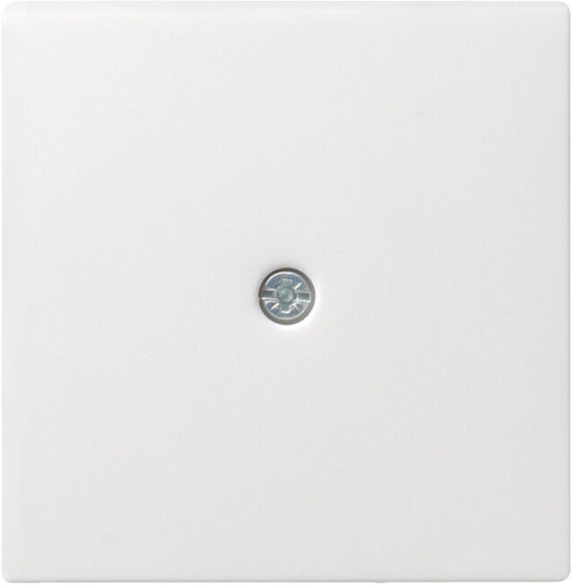 Gira Module central rws-gl pour dérivation par câble 027403 (027403)