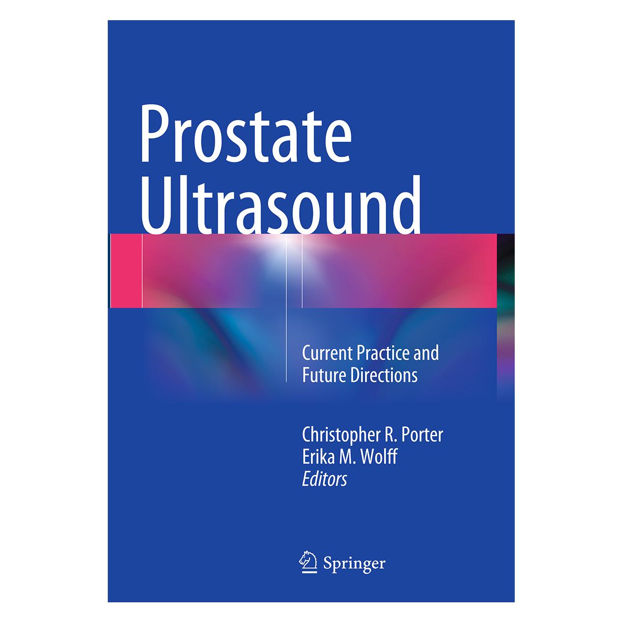 Springer Prostate Ultrasound (Englisch, Softcover, Christopher R. Porter, Erika M. Wolff) (55844665)