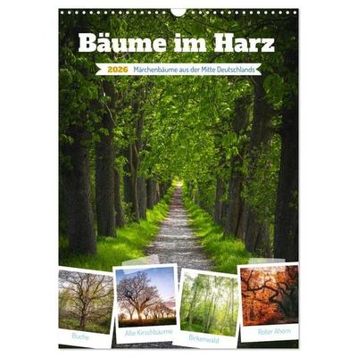 Bäume im Harz (Wandkalender 2026 DIN A3 hoch), CALVENDO Monatskalender