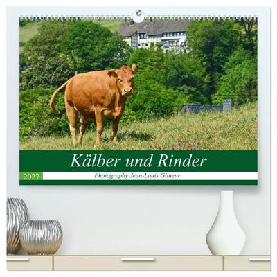 Kälber und Rinder (hochwertiger Premium Wandkalender 2027 DIN A2 quer), Kunstdruck in Hochglanz