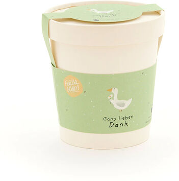 Anzuchtset "Gänseblümchen Becher"