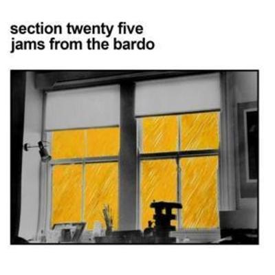Section 25: Jams From The Bardo - Section 25, CD